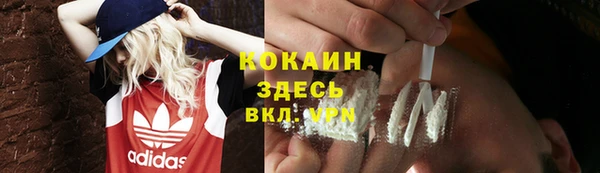 крисы Абаза