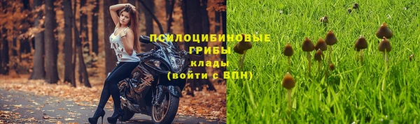ALPHA-PVP Алзамай