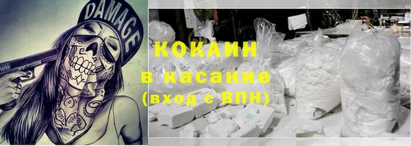 крисы Абаза