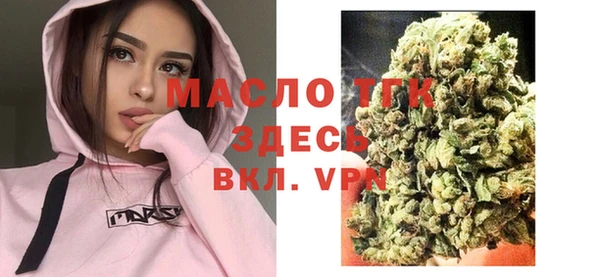 крисы Абаза