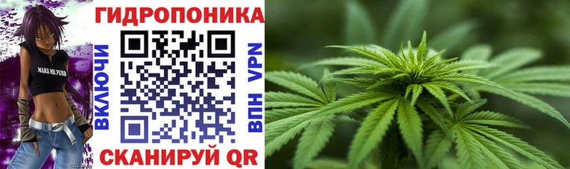 МАРИХУАНА сатива  площадка какой сайт  Дубна 